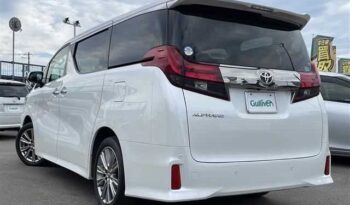 2016 Toyota Alphard full