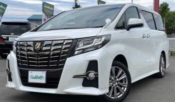 2016 Toyota Alphard full